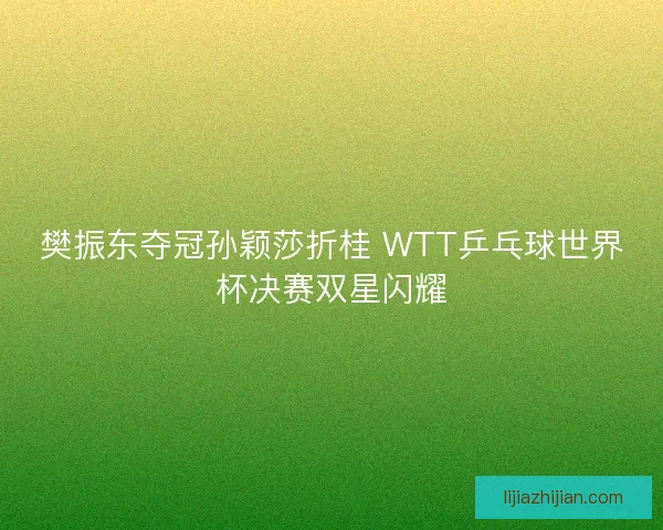 樊振东夺冠孙颖莎折桂 WTT乒乓球世界杯决赛双星闪耀